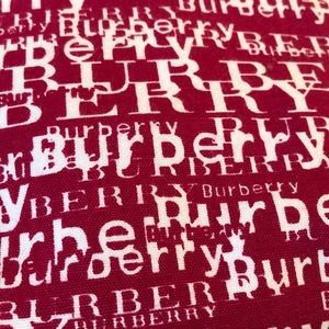 Burberry Canvas Demi bag Never Used